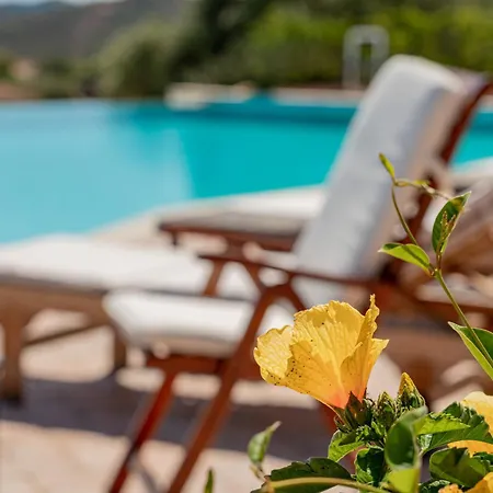 Villa Sogno Indaco